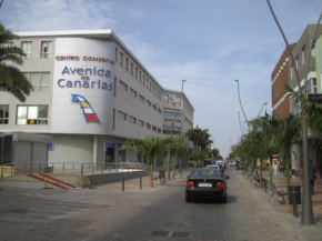 Отель Hotel Avenida de Canarias  Вечиндарио